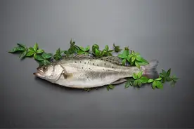 贵阳男子在家洗一条鲈鱼，手竟起可怖变化！可能面临截肢图片