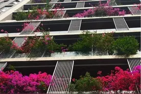“空中花园”再现，成都一小区现30层楼高花墙图片