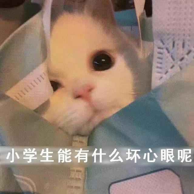 “即使爸爸再忙，也会抽空看美女。”看了娃造的句我笑到打鸣