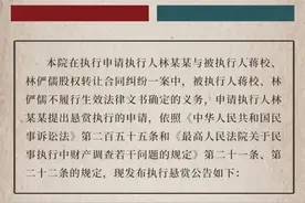 福州长乐法院发布近1亿悬赏公告图片