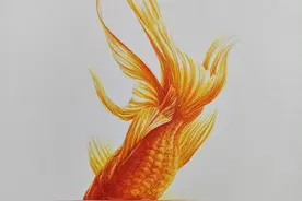 色铅彩绘 | 小金鱼图片