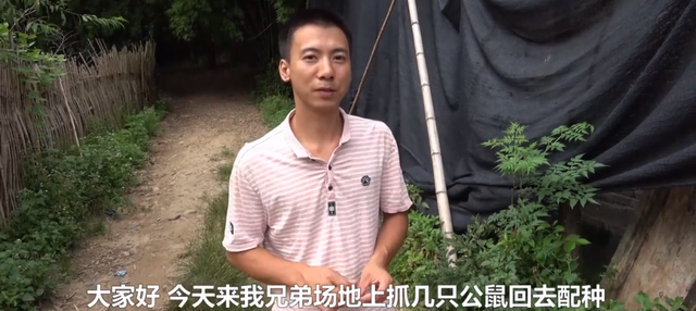 鸡皮疙瘩2在线观看带字