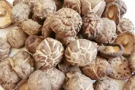 干香菇和鲜香菇哪个更好？可惜很多人都不知道，快看看！视频封面