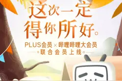 朋友圈再扩大！京东PLUS会员联手哔哩哔哩推出联合会员卡图片