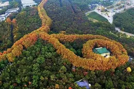 到南京必去的景点图片