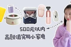 年度清单！500元以内的高颜值实用小家电，我只推荐这8款图片