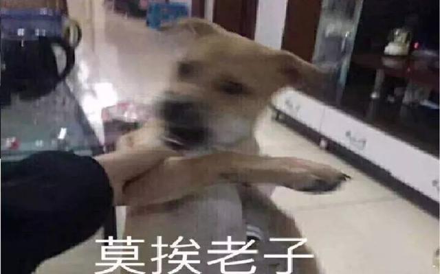 ʷϼصĹĳŸˣ