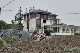 上海农村68万盖三层大气新中式自建房，网友看到：这就让我酸了图片