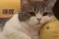 表情包：是我拿不动刀了还是你飘了图片