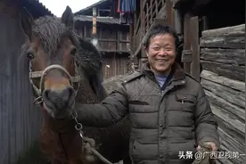 读书、跳坡、斗马……文化振兴让广西乡村“活”起来图片