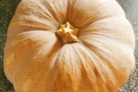 老品种南瓜与外来及新品种南瓜如何吃这也有讲究你吃对了吗？图片