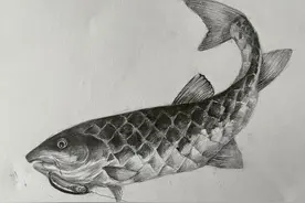 双十一买钓具最便宜？去年还可以这样说，今年就不一样了！要小心图片