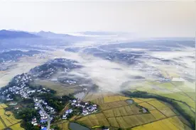 天柱山这10处绝美春光，绝对惊艳！你去过几处？图片