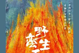 是赵丽颖做错了还是罗云熙和王一博没有实力 肖战白鹿已是前车之鉴图片