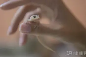 人被拿掉哪些器官不会死？8个没用器官，医生很少告诉你图片