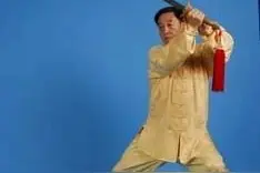 陈正雷老师陈氏太极单剑(图文)教程：第二十九式 鹰熊斗智图片