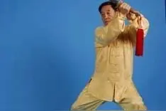 陈正雷老师陈氏太极单剑(图文)教程：第二十九式 鹰熊斗智图片