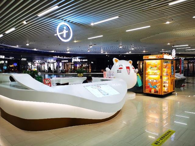 “广州城市小菜园”工程启动啦，种子、有机肥都可以领