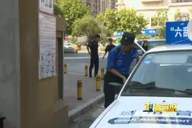 整治现场！市区这些犬类将被收容！图片
