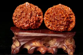 廊坊非物质文化遗产——永清核雕图片