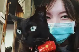 看到黑猫排队等饭，主人挺欣慰，可突然想到：另一只黑猫是谁图片