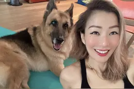 郑秀文许志安爱犬病情告急，夫妻特意停工陪伴，还请了仨护工照顾图片