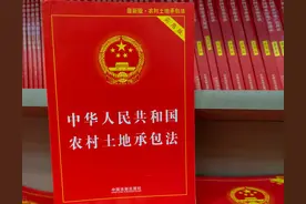 农村田地是按人平分的，可以买卖吗？随意买卖会被收回承包经营权图片