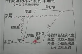 它是专为鲤鱼“量身打造”的民间钓法，详解野钓利器：谷麦逗钓术图片