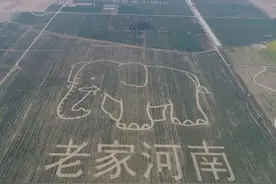 委屈的河南，太难了图片