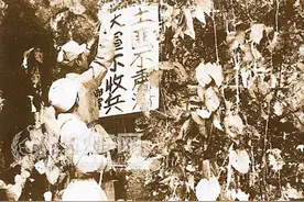 嘉禾剿匪记 | 1949年5月，嘉兴解放图片