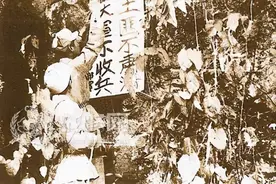 嘉禾剿匪记 | 1949年5月，嘉兴解放图片