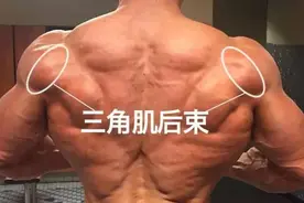不要让三角肌后束成为你的短板，如何更有效的训练到三角肌后束？图片