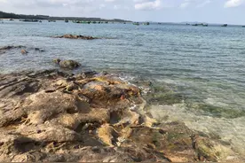 海南岛的最北端不在海口市，那里藏着罕见的野性之美｜琼游王图片