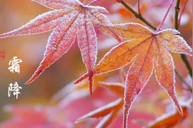 霜降 | 秋天最后一个节气，来了图片