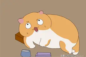 4个时刻你觉得猫在守护你？其实和猫的忠心真没关系图片