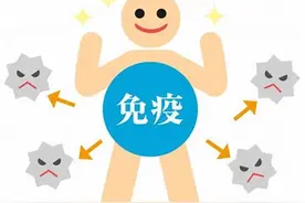 我们应该如何看待免疫细胞？图片