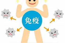 我们应该如何看待免疫细胞？图片