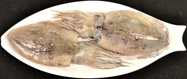 怀孕吃鱼好还是花胶好 2025年怀孕吃鱼好还是花胶好一点