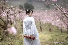 桃花树下秀汉服！醉美古风你不爱？图片