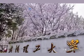 如何看待原武理工首席教授余家国率领团队加盟中国地大（武汉）？图片