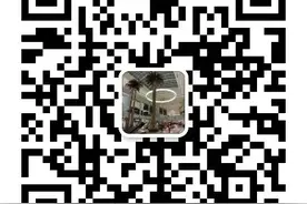沙特：5月31日起沙特各主要大城市开通国内航线图片