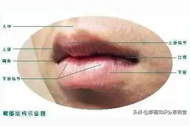 轻备学院：嘴唇的结构分析以及画法讲解，画出逼真水润的嘴唇图片