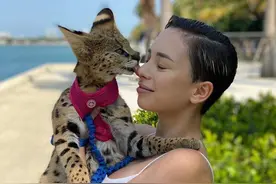委内瑞拉名模富养混血猫，月花4万喂猫，还要花34万建猫游乐场图片