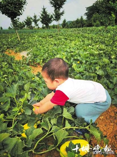 赛龙舟,赏花海…端午节,十堰人旅游就去这几个地方