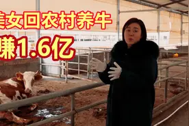 上海女白领被父亲一个电话叫回农村养牛，十年卖出1.6亿元图片