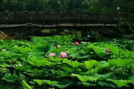 多虐筋骨，不虐心情图片