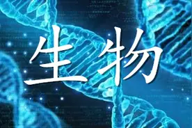 生物！2020山东高考生物试题+答案出炉！（高清版）图片