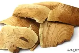 每日医药——雷公藤图片