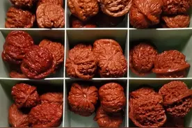 尿素泡核桃，一个月就红了！玩串5年，他尝试过各种黑科技图片