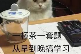 表情包｜满脑子都是学习的表情图片
